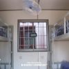 Interor Sleeper Container 20ft (2 Room)